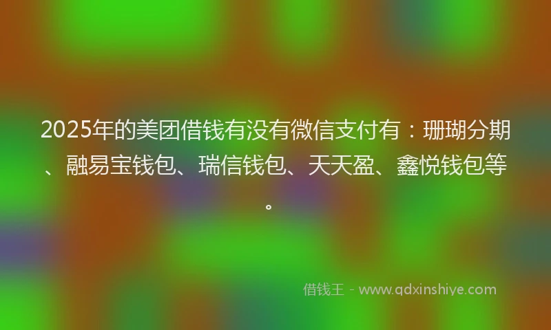 2025年的美团借钱有没有微信支付有：珊瑚分期、融易宝钱包、瑞信钱包、天天盈、鑫悦钱包等。