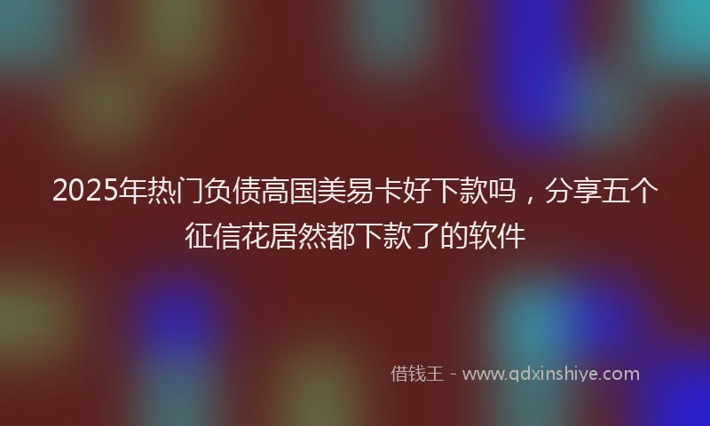 2025年热门负债高国美易卡好下款吗，分享五个征信花居然都下款了的软件