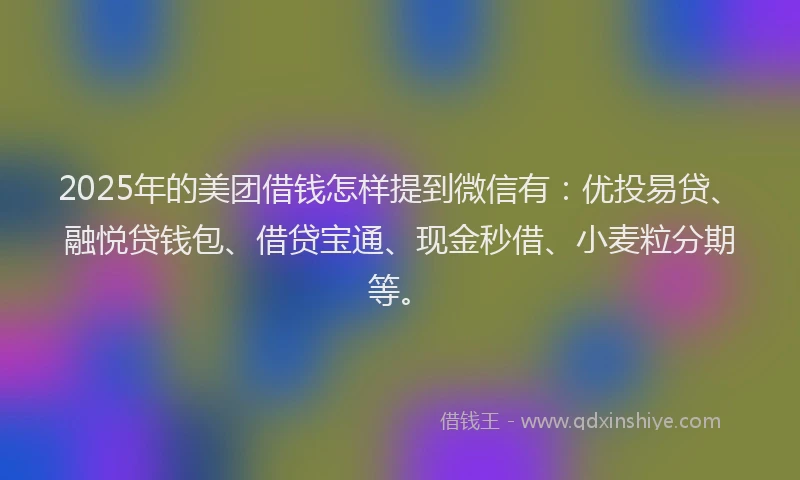 2025年的美团借钱怎样提到微信有：优投易贷、融悦贷钱包、借贷宝通、现金秒借、小麦粒分期等。