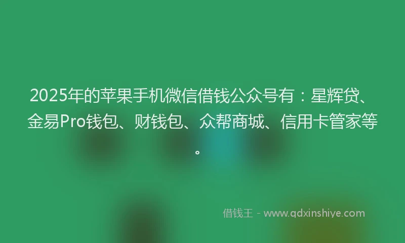 2025年的苹果手机微信借钱公众号有：星辉贷、金易Pro钱包、财钱包、众帮商城、信用卡管家等。