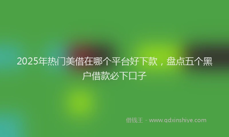 2025年热门美借在哪个平台好下款，盘点五个黑户借款必下口子