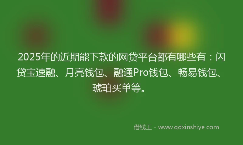 2025年的近期能下款的网贷平台都有哪些有：闪贷宝速融、月亮钱包、融通Pro钱包、畅易钱包、琥珀买单等。
