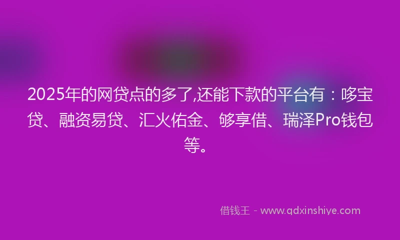 2025年的网贷点的多了,还能下款的平台有：哆宝贷、融资易贷、汇火佑金、够享借、瑞泽Pro钱包等。