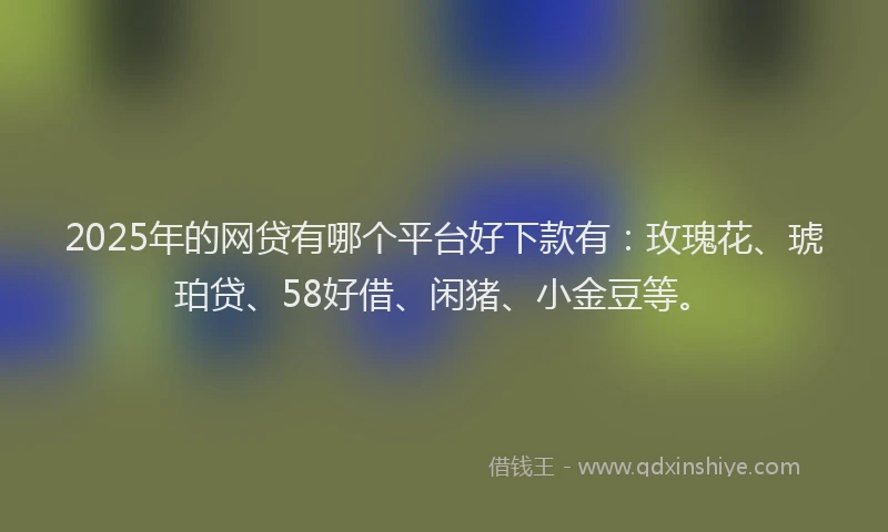 2025年的网贷有哪个平台好下款有：玫瑰花、琥珀贷、58好借、闲猪、小金豆等。