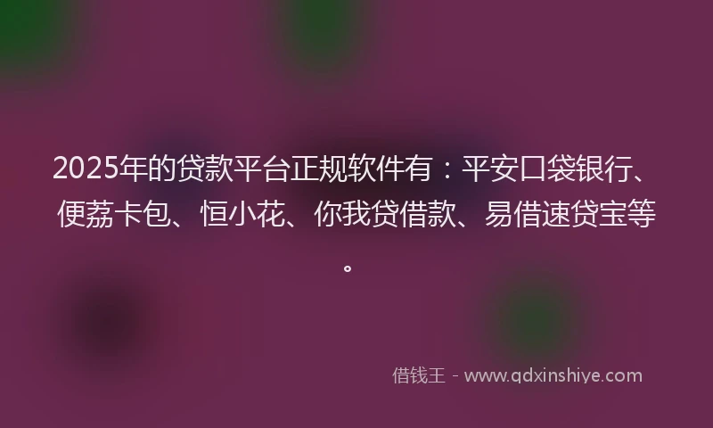 2025年的贷款平台正规软件有：平安口袋银行、便荔卡包、恒小花、你我贷借款、易借速贷宝等。