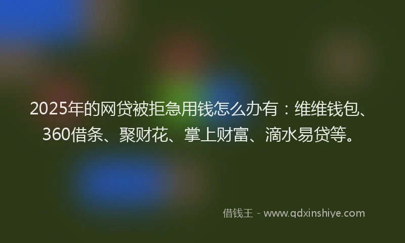 2025年的网贷被拒急用钱怎么办有：维维钱包、360借条、聚财花、掌上财富、滴水易贷等。