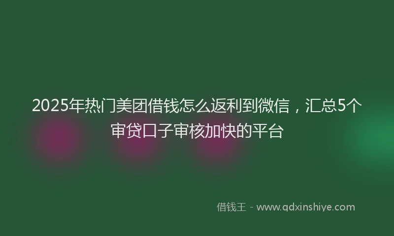 2025年热门美团借钱怎么返利到微信，汇总5个审贷口子审核加快的平台