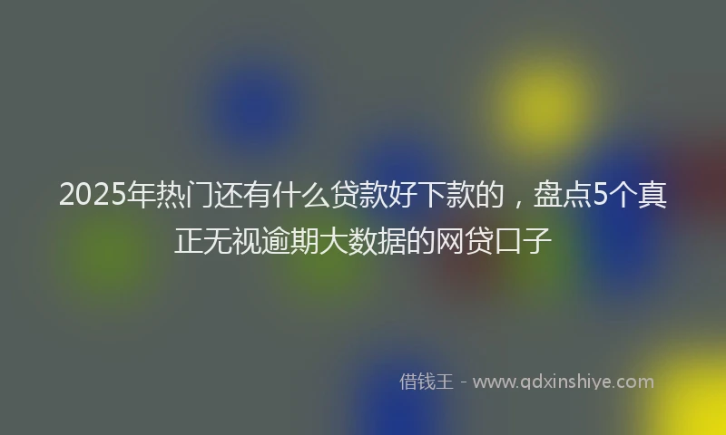 2025年热门还有什么贷款好下款的，盘点5个真正无视逾期大数据的网贷口子