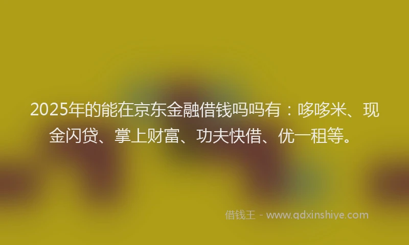 2025年的能在京东金融借钱吗吗有：哆哆米、现金闪贷、掌上财富、功夫快借、优一租等。