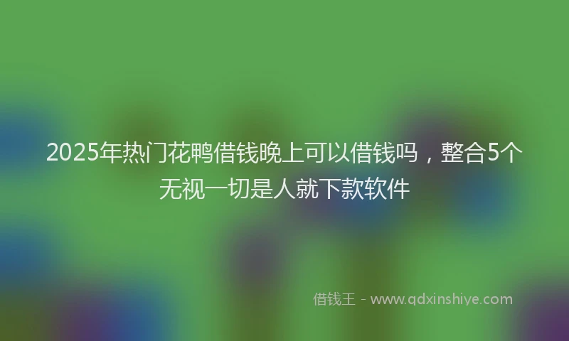 2025年热门花鸭借钱晚上可以借钱吗，整合5个无视一切是人就下款软件