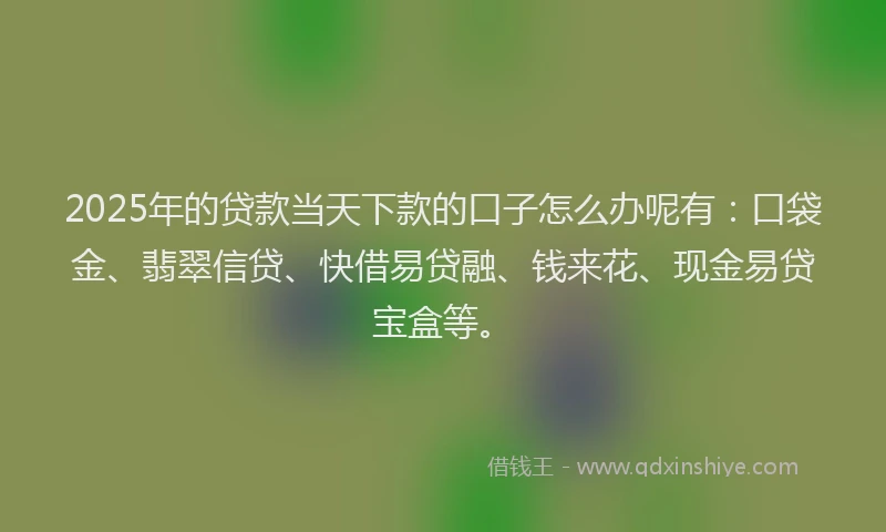 2025年的贷款当天下款的口子怎么办呢有：口袋金、翡翠信贷、快借易贷融、钱来花、现金易贷宝盒等。