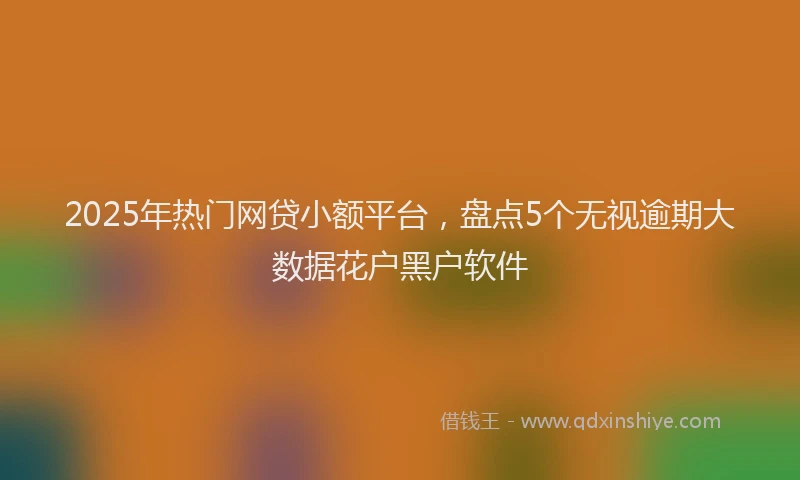 2025年热门网贷小额平台，盘点5个无视逾期大数据花户黑户软件