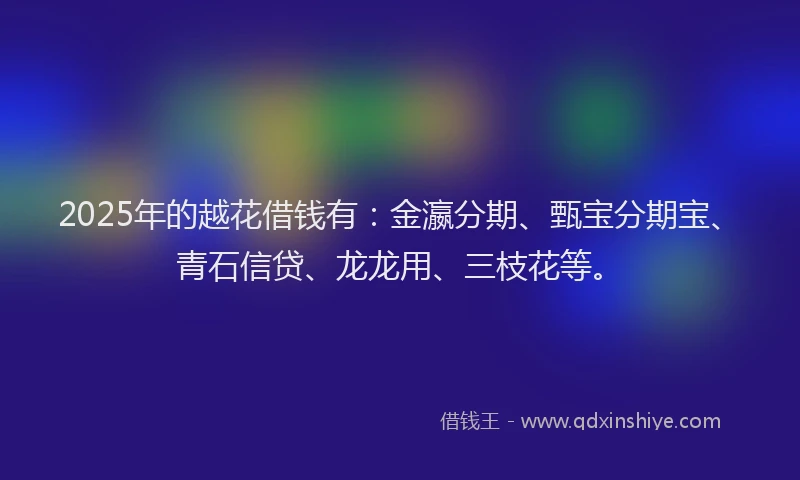 2025年的越花借钱有：金瀛分期、甄宝分期宝、青石信贷、龙龙用、三枝花等。