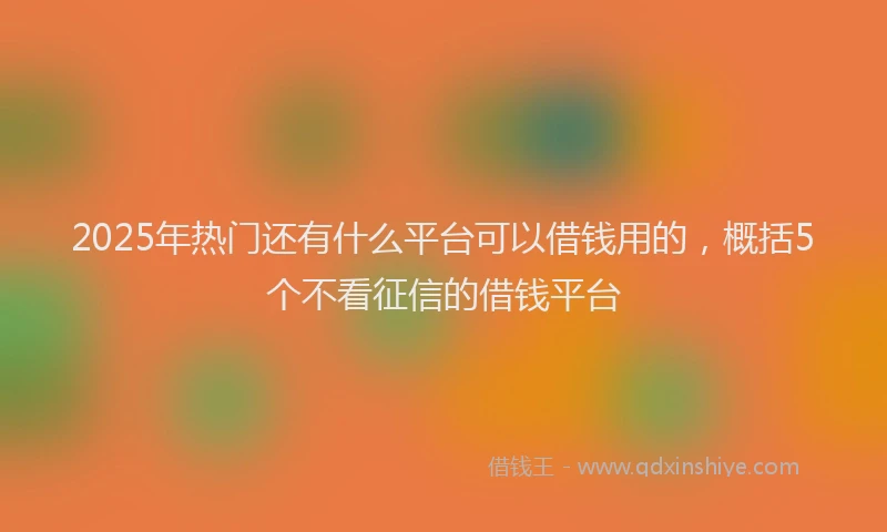 2025年热门还有什么平台可以借钱用的，概括5个不看征信的借钱平台
