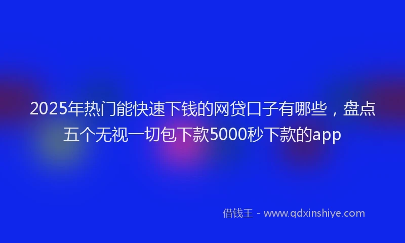 2025年热门能快速下钱的网贷口子有哪些，盘点五个无视一切包下款5000秒下款的app