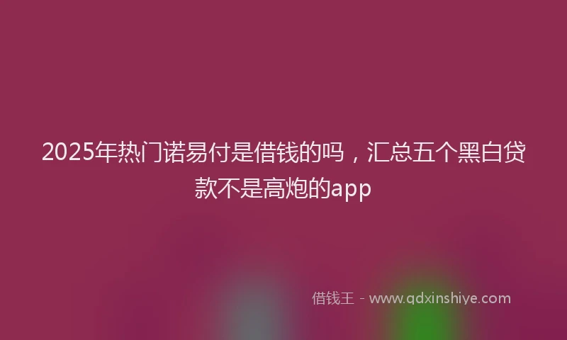 2025年热门诺易付是借钱的吗，汇总五个黑白贷款不是高炮的app