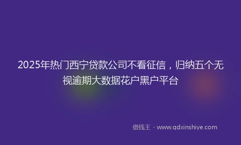 2025年热门西宁贷款公司不看征信，归纳五个无视逾期大数据花户黑户平台
