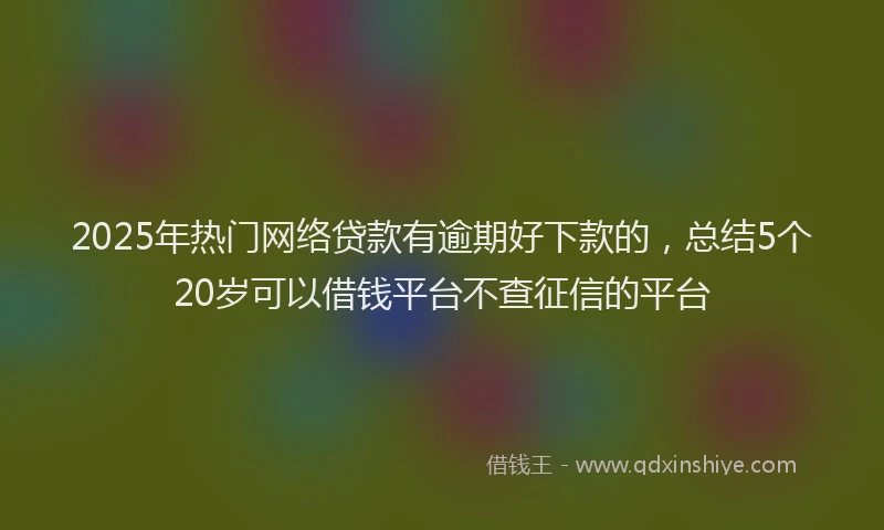 2025年热门网络贷款有逾期好下款的，总结5个20岁可以借钱平台不查征信的平台