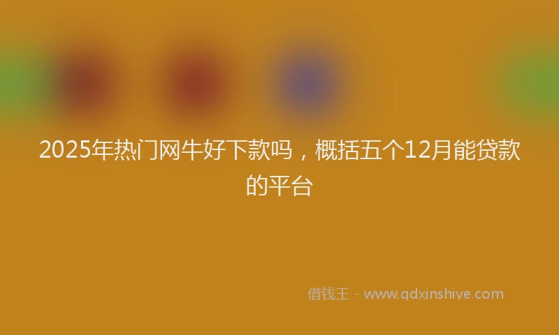 2025年热门网牛好下款吗，概括五个12月能贷款的平台
