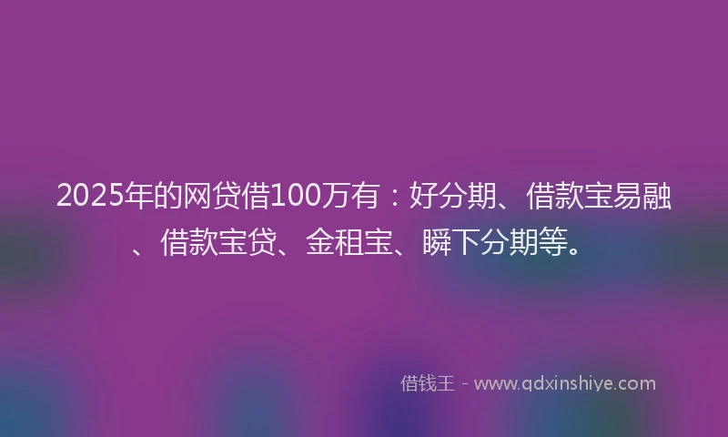 2025年的网贷借100万有：好分期、借款宝易融、借款宝贷、金租宝、瞬下分期等。