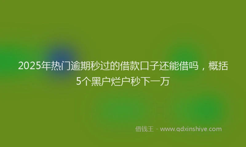 2025年热门逾期秒过的借款口子还能借吗，概括5个黑户烂户秒下一万