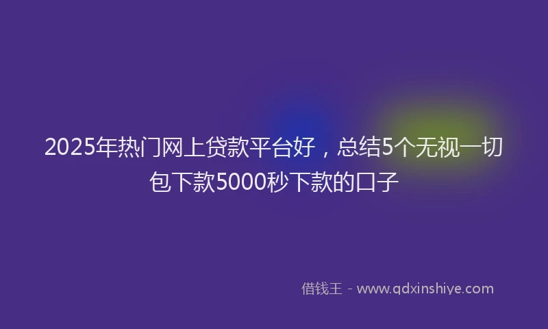 2025年热门网上贷款平台好，总结5个无视一切包下款5000秒下款的口子
