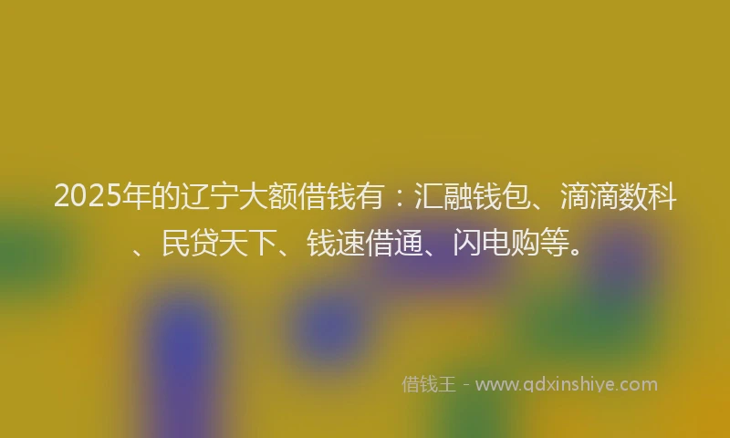 2025年的辽宁大额借钱有：汇融钱包、滴滴数科、民贷天下、钱速借通、闪电购等。