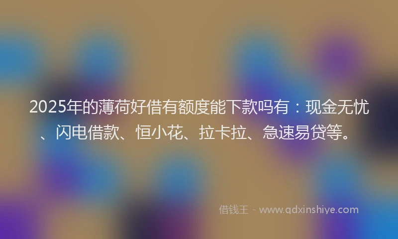 2025年的薄荷好借有额度能下款吗有：现金无忧、闪电借款、恒小花、拉卡拉、急速易贷等。
