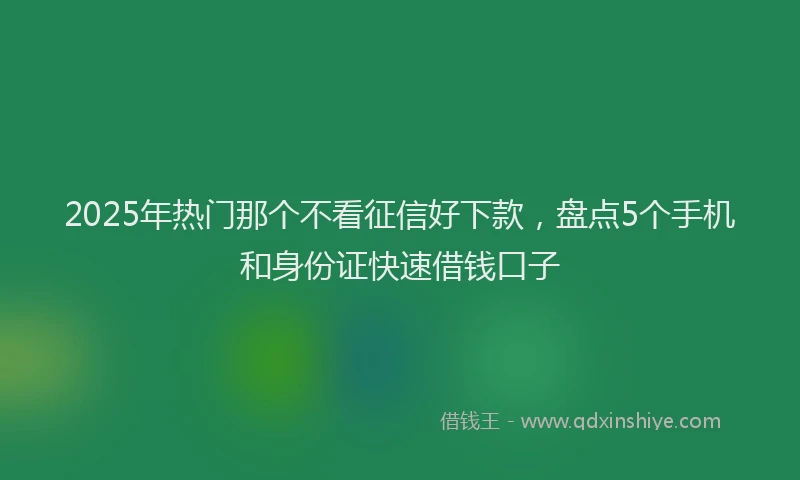 2025年热门那个不看征信好下款，盘点5个手机和身份证快速借钱口子