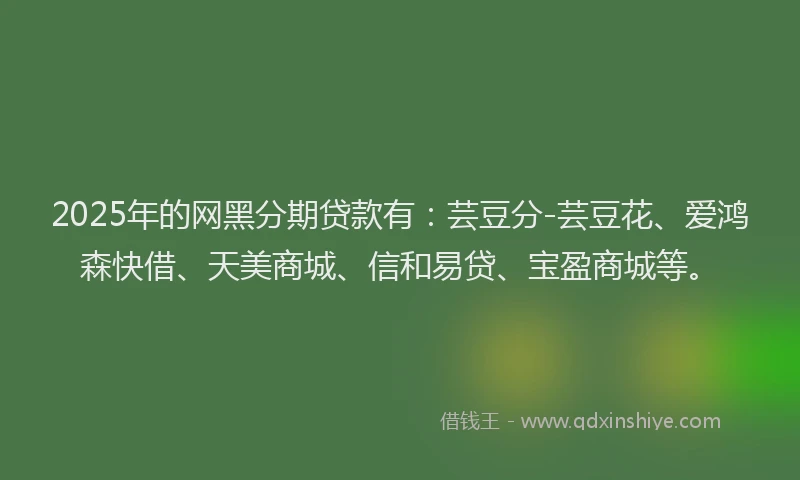 2025年的网黑分期贷款有：芸豆分-芸豆花、爱鸿森快借、天美商城、信和易贷、宝盈商城等。