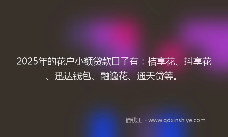 2025年的花户小额贷款口子有：桔享花、抖享花、迅达钱包、融逸花、通天贷等。