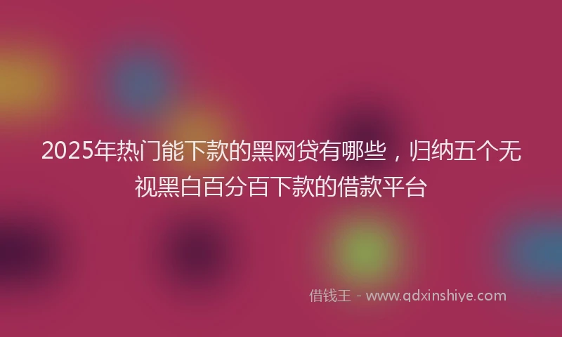 2025年热门能下款的黑网贷有哪些，归纳五个无视黑白百分百下款的借款平台