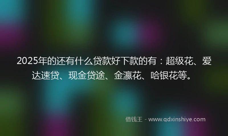 2025年的还有什么贷款好下款的有：超级花、爱达速贷、现金贷途、金瀛花、哈银花等。