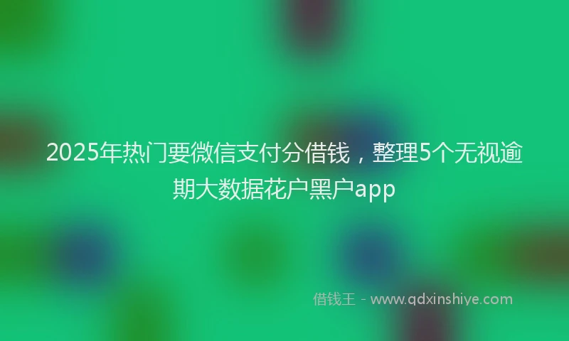 2025年热门要微信支付分借钱，整理5个无视逾期大数据花户黑户app