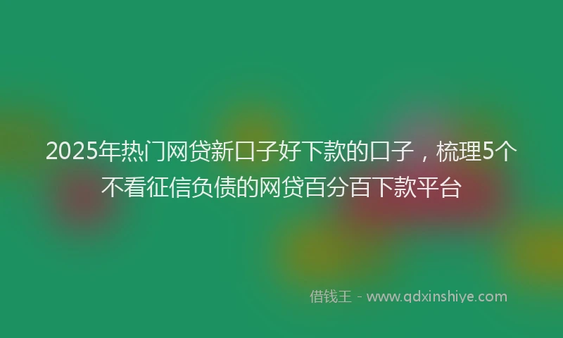 2025年热门网贷新口子好下款的口子，梳理5个不看征信负债的网贷百分百下款平台