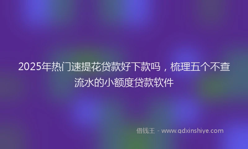 2025年热门速提花贷款好下款吗，梳理五个不查流水的小额度贷款软件