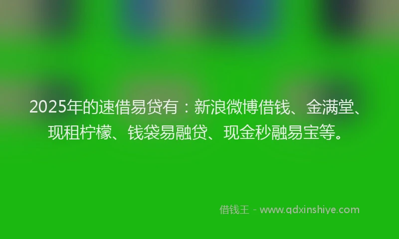 2025年的速借易贷有：新浪微博借钱、金满堂、现租柠檬、钱袋易融贷、现金秒融易宝等。