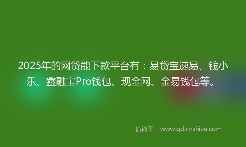2025年的网贷能下款平台有：易贷宝速易、钱小乐、鑫融宝Pro钱包、现金网、金易钱包等。
