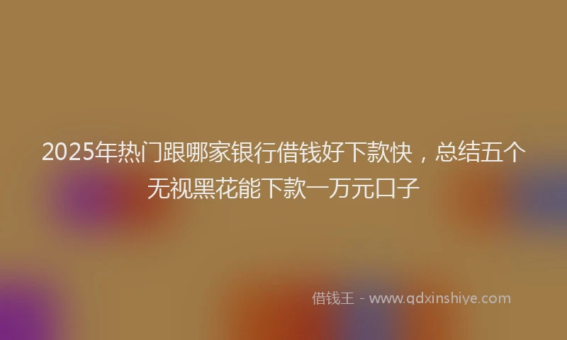 2025年热门跟哪家银行借钱好下款快，总结五个无视黑花能下款一万元口子