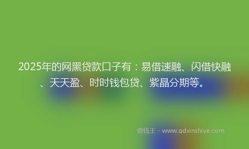 2025年的网黑贷款口子有：易借速融、闪借快融、天天盈、时时钱包贷、紫晶分期等。