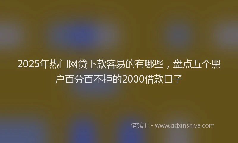 2025年热门网贷下款容易的有哪些，盘点五个黑户百分百不拒的2000借款口子