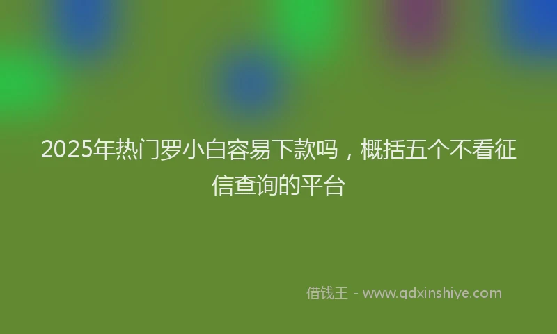 2025年热门罗小白容易下款吗，概括五个不看征信查询的平台