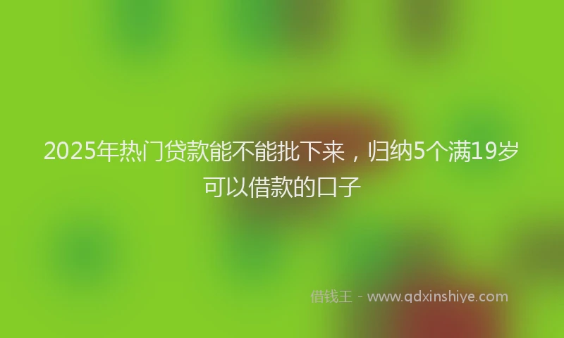 2025年热门贷款能不能批下来，归纳5个满19岁可以借款的口子