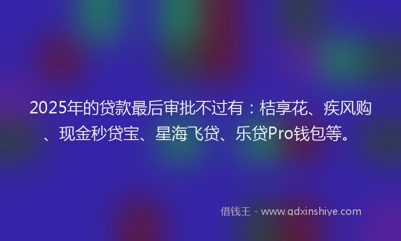 2025年的贷款最后审批不过有：桔享花、疾风购、现金秒贷宝、星海飞贷、乐贷Pro钱包等。