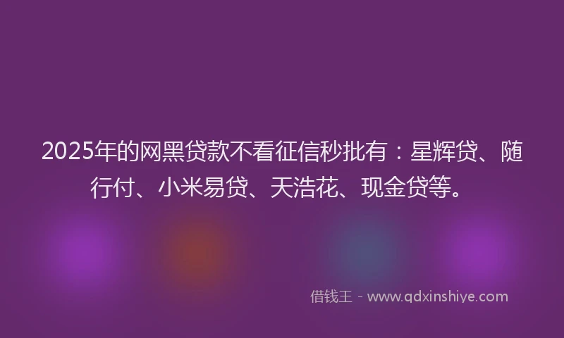 2025年的网黑贷款不看征信秒批有：星辉贷、随行付、小米易贷、天浩花、现金贷等。