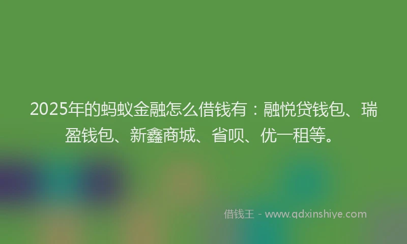 2025年的蚂蚁金融怎么借钱有：融悦贷钱包、瑞盈钱包、新鑫商城、省呗、优一租等。