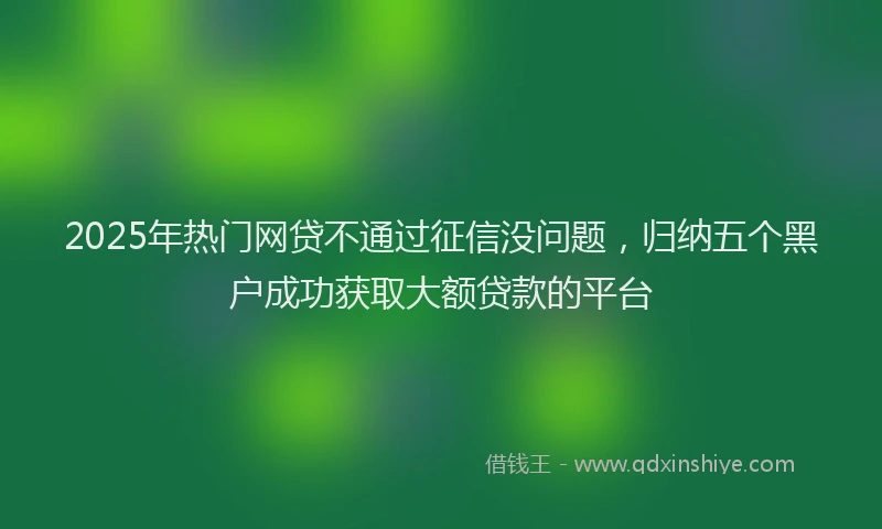 2025年热门网贷不通过征信没问题，归纳五个黑户成功获取大额贷款的平台
