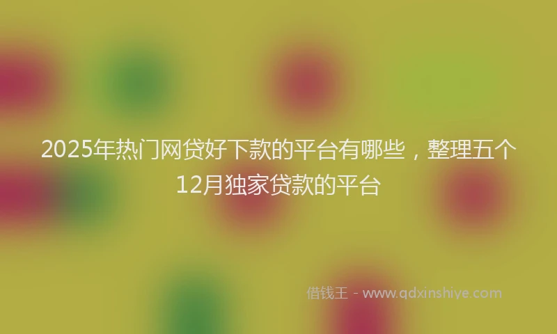 2025年热门网贷好下款的平台有哪些，整理五个12月独家贷款的平台