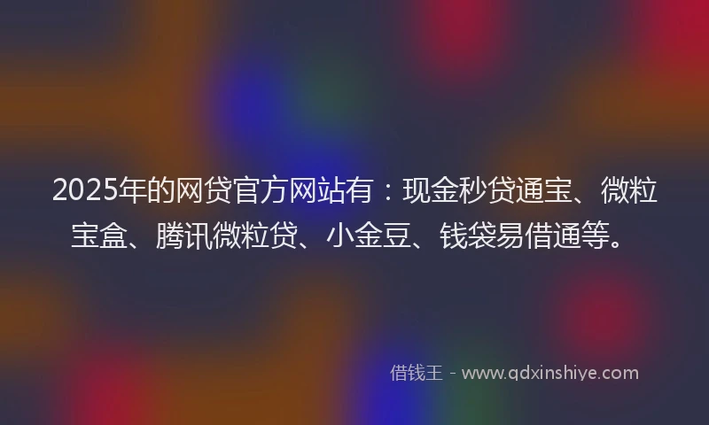 2025年的网贷官方网站有：现金秒贷通宝、微粒宝盒、腾讯微粒贷、小金豆、钱袋易借通等。