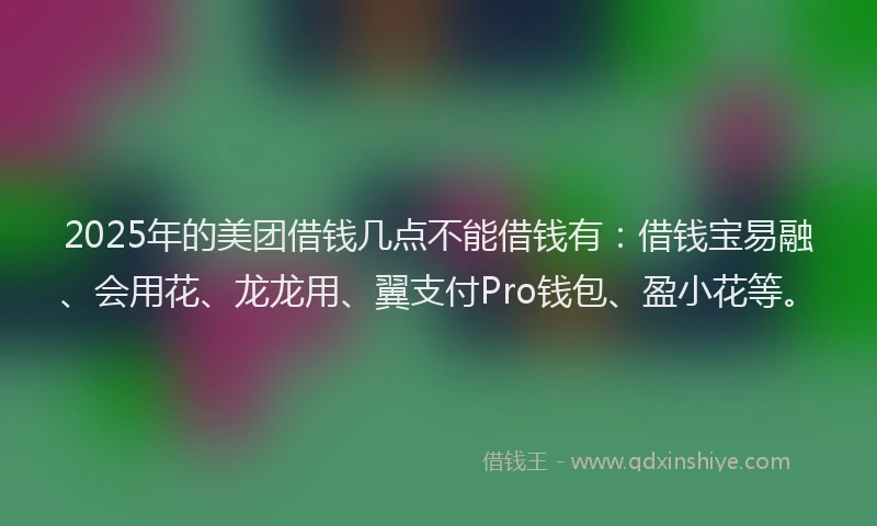 2025年的美团借钱几点不能借钱有：借钱宝易融、会用花、龙龙用、翼支付Pro钱包、盈小花等。